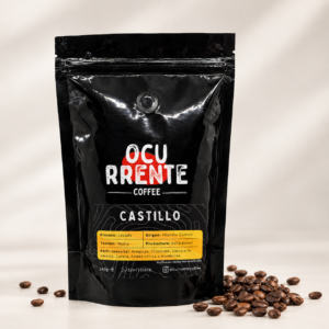 Castillo - Lavado